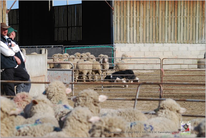 Hibert_Black Jack_Dimanche_0001w-web.jpg